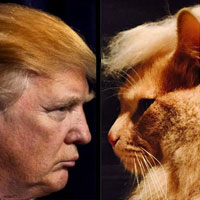 Donald Trump - Grab Pussy (Cat) Thumbnail